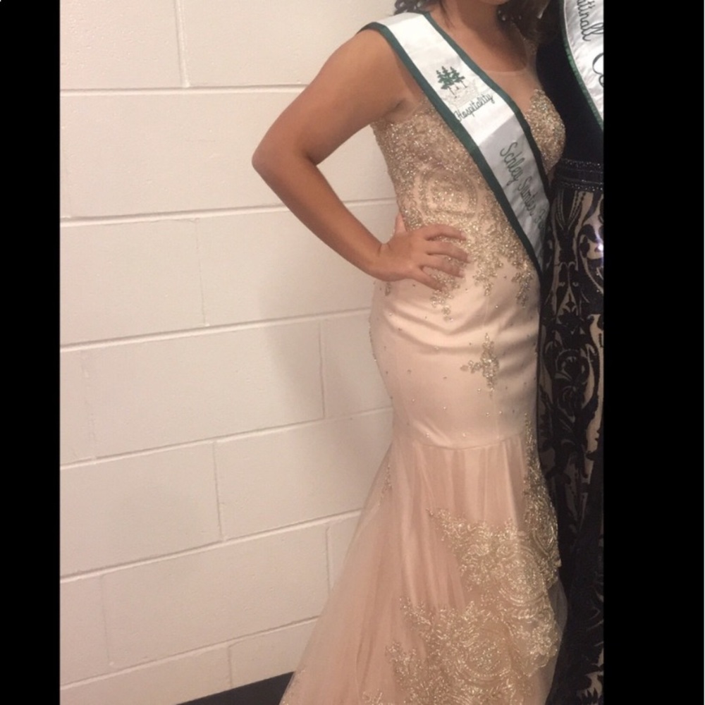 Prom/Pageant Dress - Picture 2 of 3